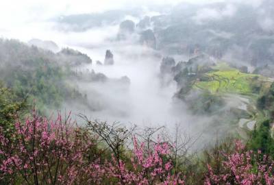 候鳥的選擇，彰顯湖南生態(tài)系統(tǒng)持續(xù)優(yōu)化